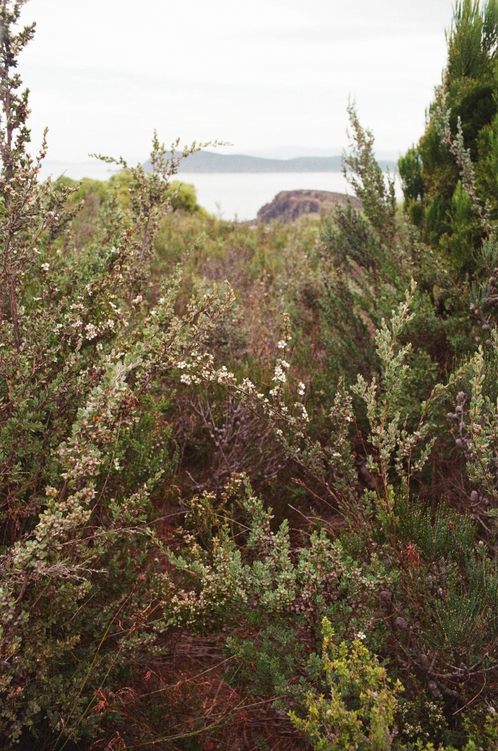 Australia
